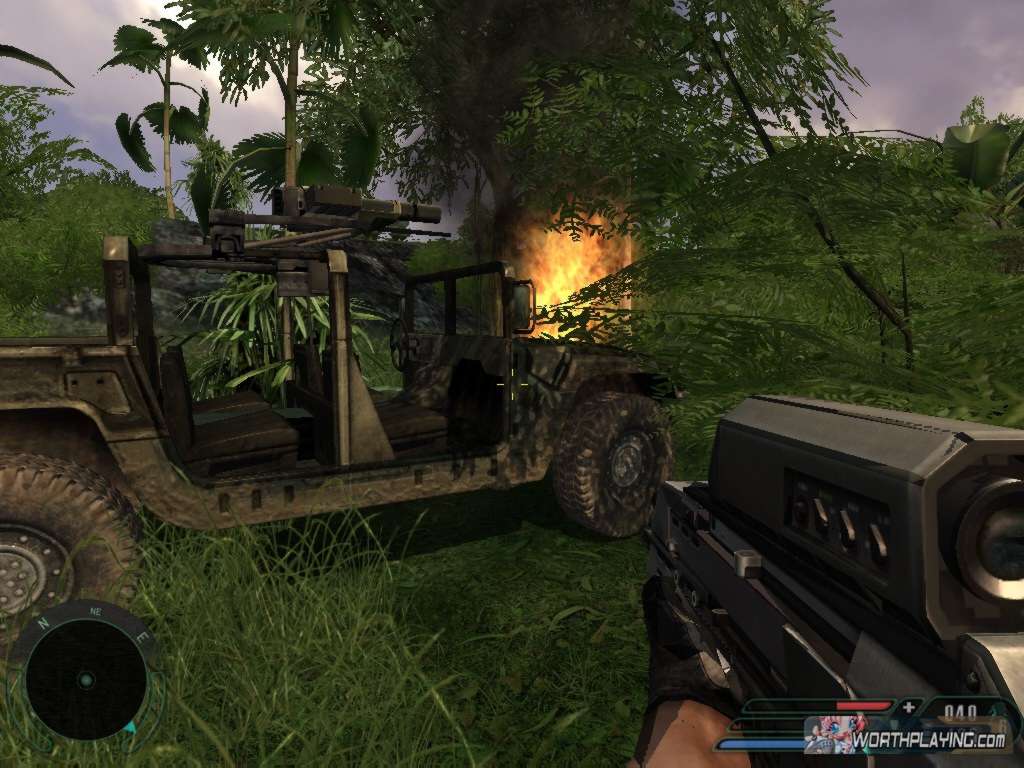 algd.jpg